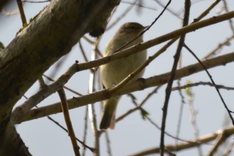sono tutti lu� piccoli?